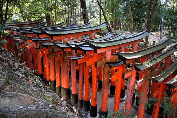 View of the torii-lined path from above.
