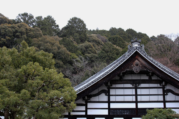 Roof of the Hōjō in the snow