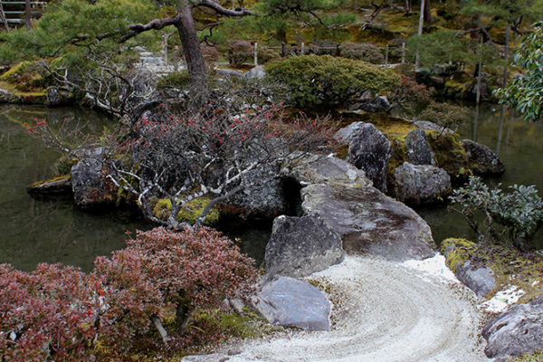 The Japanese garden