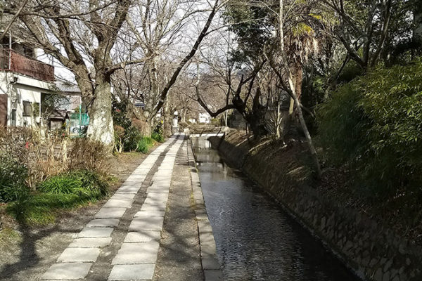 The Path of Philosophy between Nanzen-ji and Ginkaku-ji